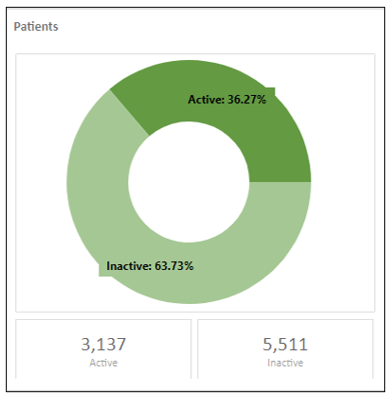 Practice Insights - Active Patients